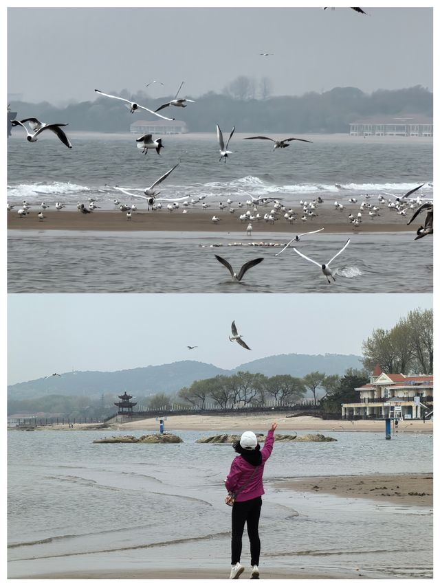 【河北秦皇島～北戴河老虎石海上公園】