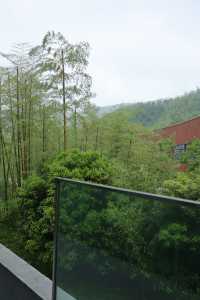 湖州甘舍|山水間的團建絕佳之地