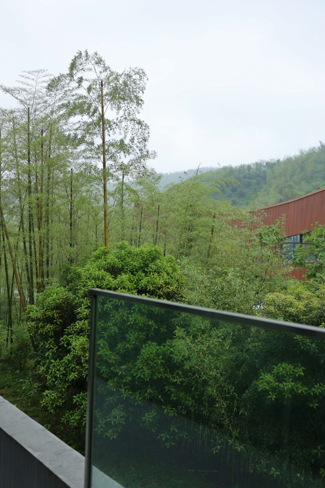 湖州甘舍|山水間的團建絕佳之地
