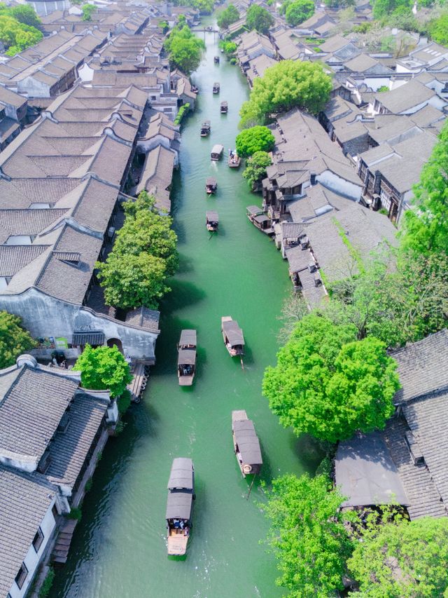 剛從烏鎮回來！日遊保姆級攻略奉上