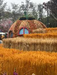 香港維多利亞公園花卉展的魅力！