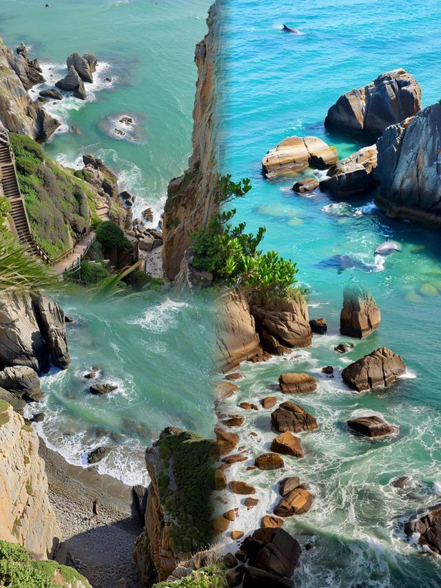 在浙江🫧台州大陈島值得去！！
