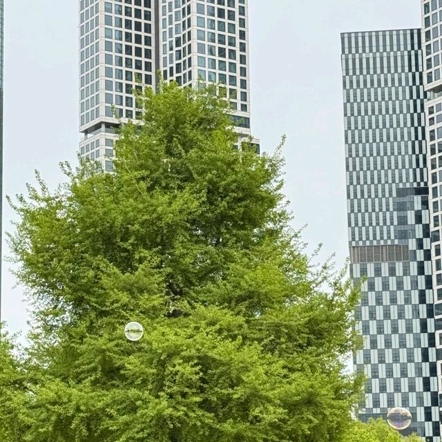  🌷首爾林春日限定浪漫｜鬱金香花海最後倒計時！附避坑拍照攻略 
