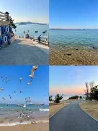 威海旅遊攻略