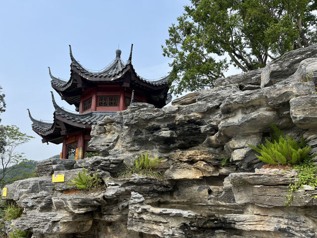 🌳深圳秘境大發現！玉龍公園