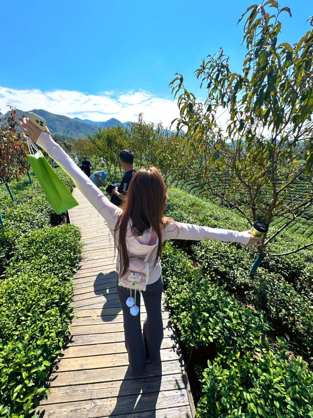 救命呀住進雲頂仙境是什麼神仙體驗