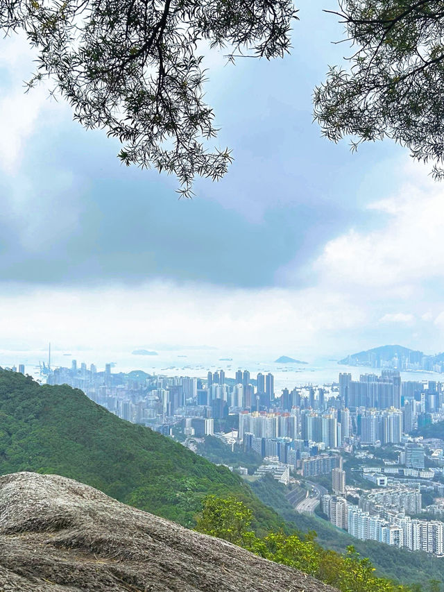 香港獅子山徒步全攻略：俯瞰九龍全景的都市秘境