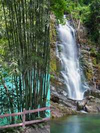 肇慶鼎湖山真係靚到我心心眼呀