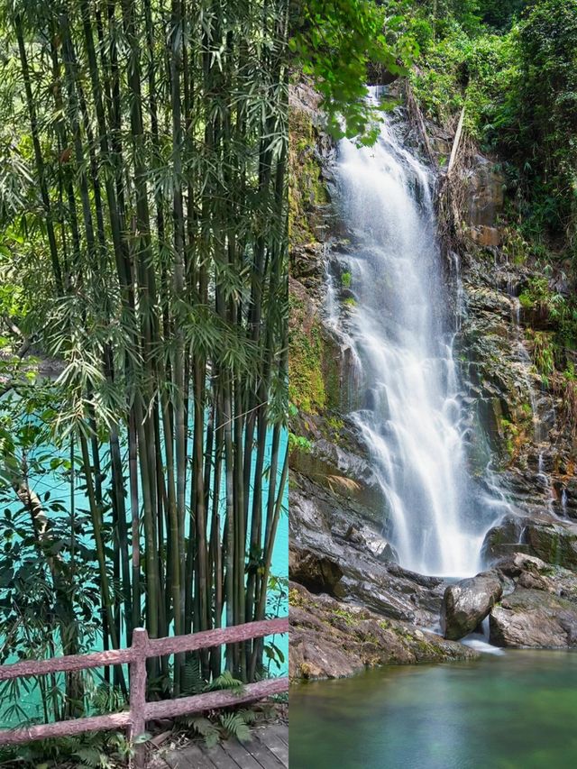 肇慶鼎湖山真係靚到我心心眼呀
