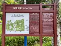 ☀️陽光下的沙井公園🌴✨城市中自然綠洲