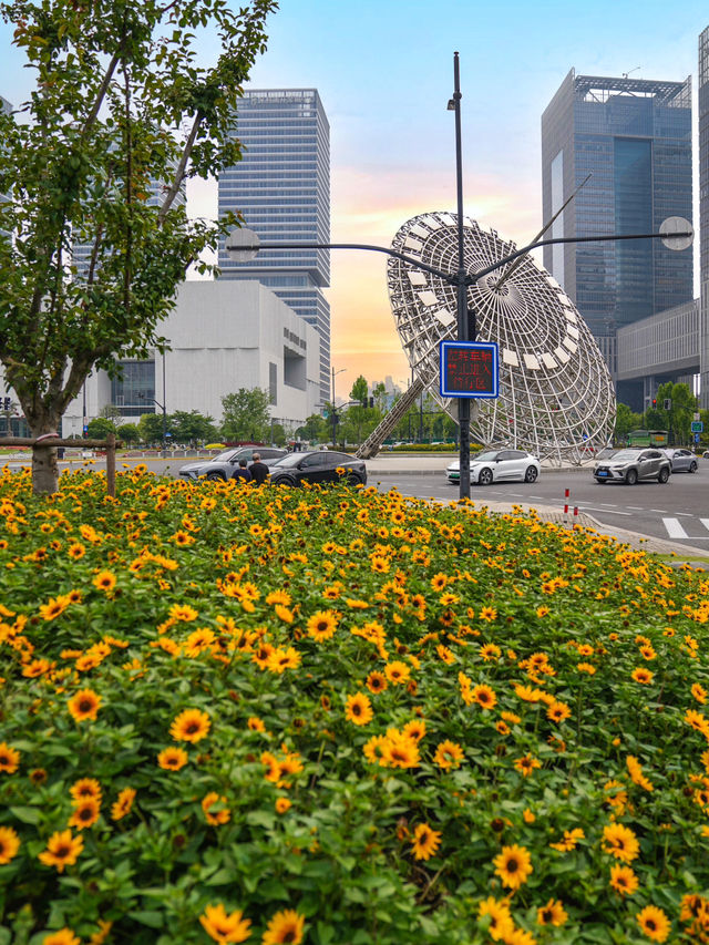魔都驚喜 | 浦東向日葵花海奇遇🌻