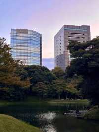 日本小石川後樂園攻略｜德川庭園與名剎 