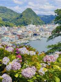 伊豆下田公園 | 繡球花的絕美盛宴
