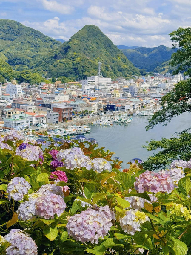 伊豆下田公園 | 繡球花的絕美盛宴