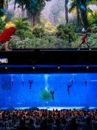 北京to上海海昌海洋公園 | 打工仔放電攻略