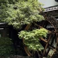 東京溫泉漫遊手札🎐｜深大寺、萬花古寺、黑蕎麥麵與黑水溫泉的治愈時光