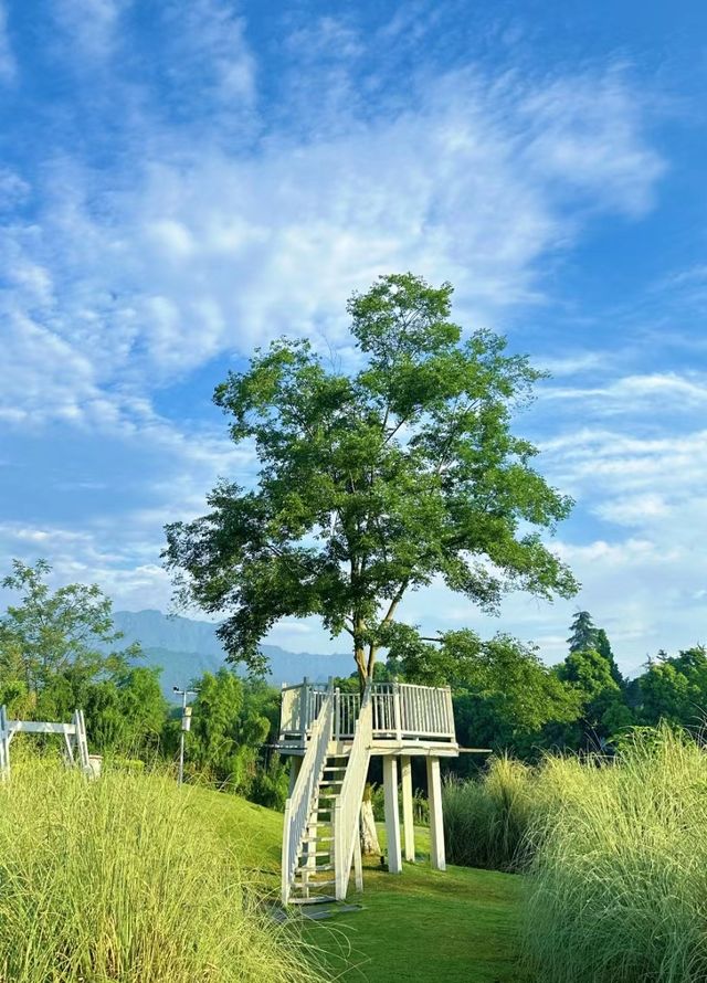 春山外 | 一池溫潤，半山清夢