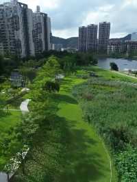 探索華發水郡濕地公園：邂逅荷花盛放的詩意時光