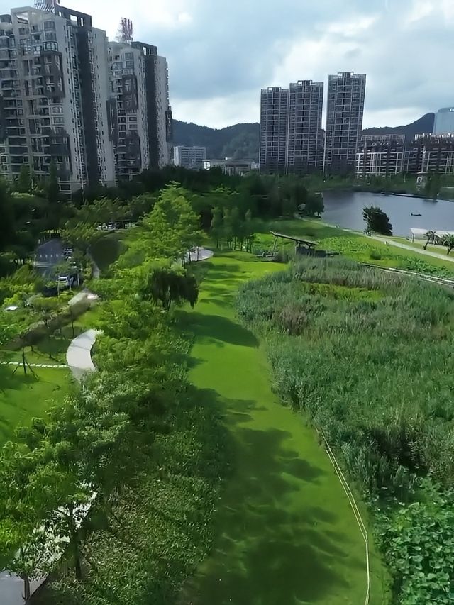 探索華發水郡濕地公園：邂逅荷花盛放的詩意時光