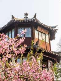 烏鎮-西塘-杭州-蘇州旅遊攻略來啦