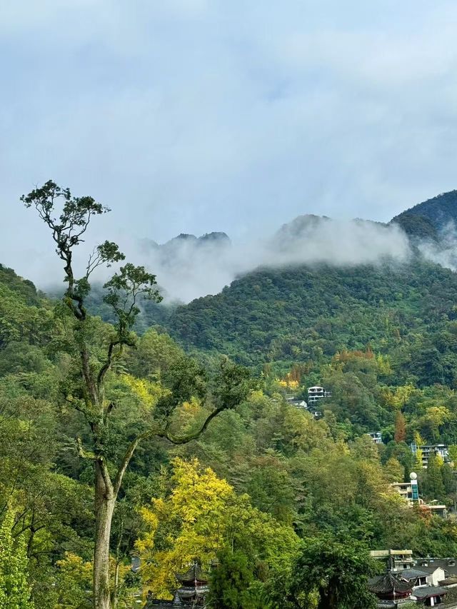 帶小朋友嚟呢度！青城山嘅親子度假寶藏地