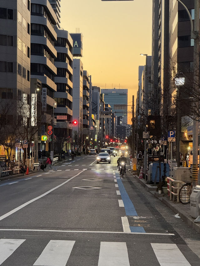 Top Tips For Nagoya, Like A Cheaper Tokyo! You Can Afford This Trip :D