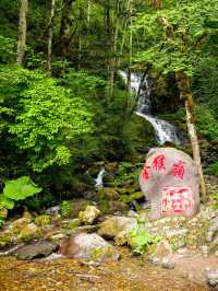 神農頂遊記