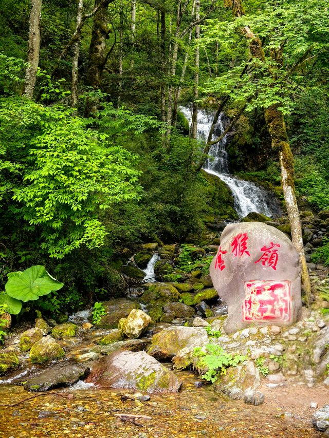 神農頂遊記