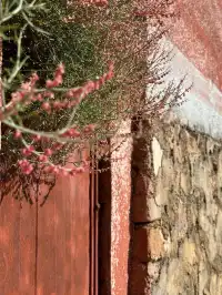 攀枝花22°C嘅暖冬係成都人嘅最愛吧？