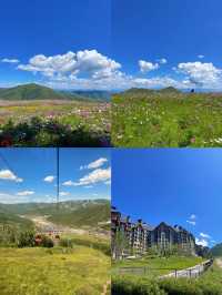 2小時躲進22℃山海關！五城週末湊仔冷氣續命