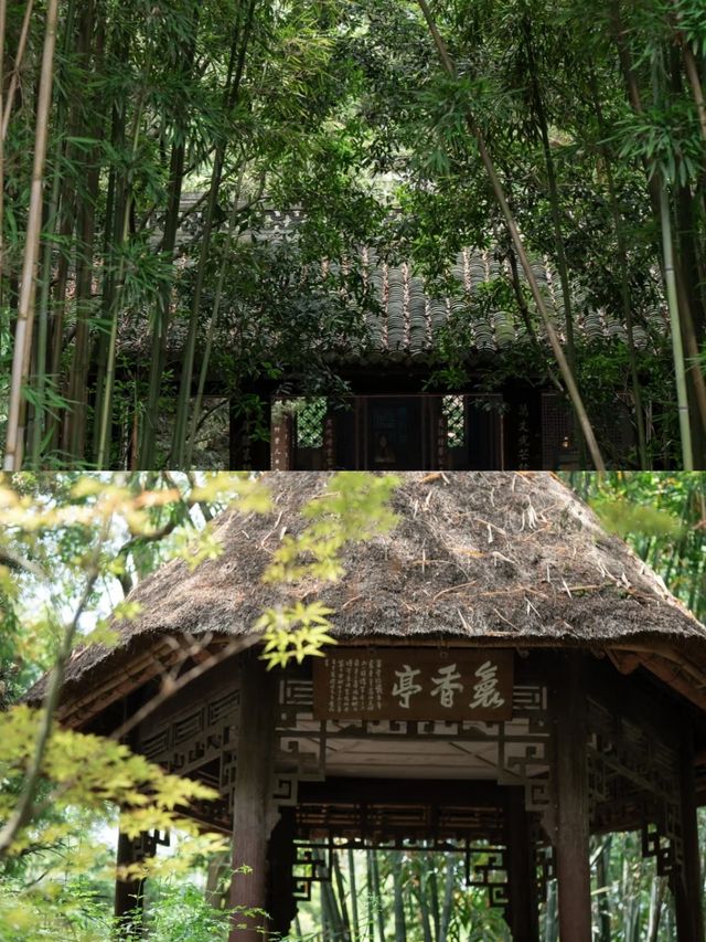 成都受罪已回，真唔建議6月份嚟