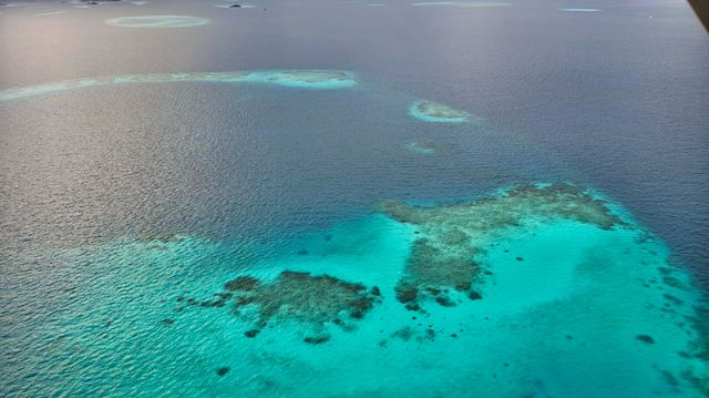 馬爾代夫選島攻略篇
