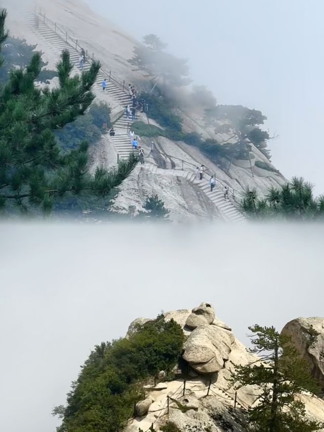 華山日爬已回歸，真係建議今個月去，兩條經典路線！