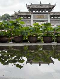 重慶华岩寺六月荷花展