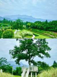 春山外——私藏嘅旅拍詩意之境