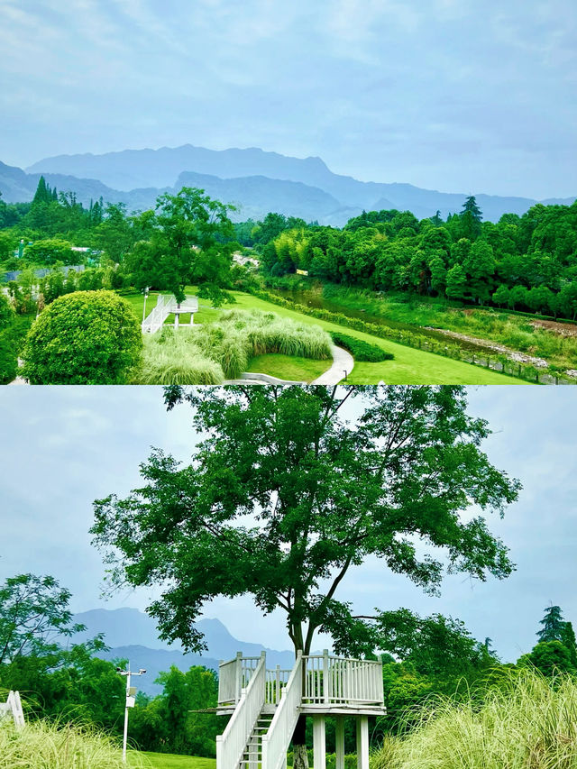 春山外——私藏嘅旅拍詩意之境