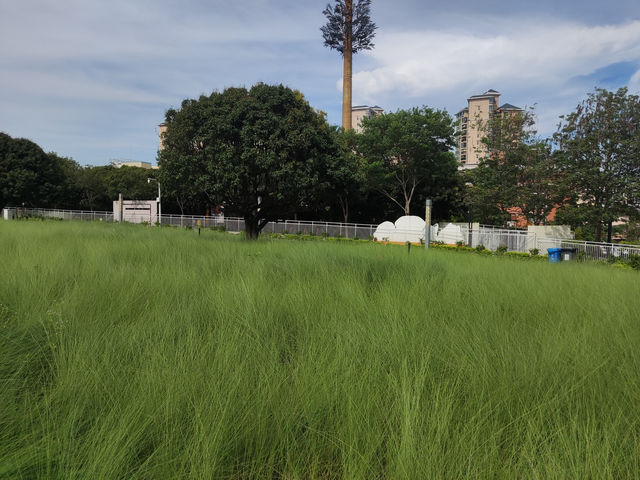 《光影之間，蔚徕的都市綠洲》