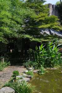 景德鎮必住呢間！入住江南園林，體驗瓷都慢時光