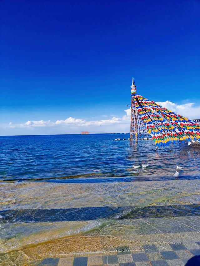 青海旅遊避坑指南  如何規劃7天環線？本地人教你慳錢玩法