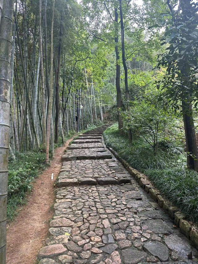 在徑山的綠意與禪意中尋找一處清涼