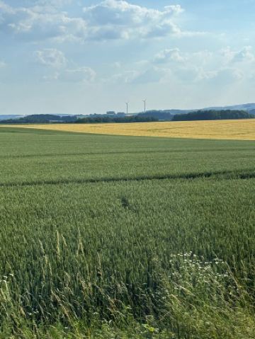 琥珀色のマスタードがシュプレー川に落ちる時、15世紀の騎士の嘶きが聞こえた-