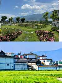 【大理3天保姆級攻略】蒼山洱海風花雪月
