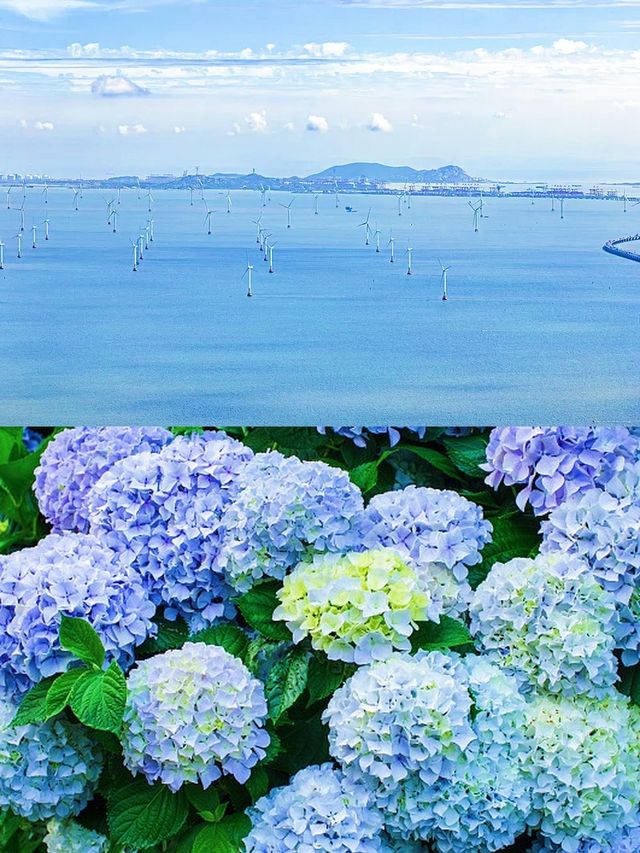 探索嵊泗島 上海周邊親子避暑與歡樂集結地