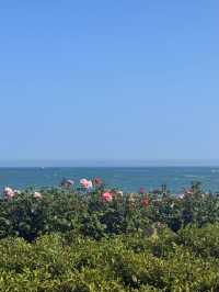 青島嘅夏天