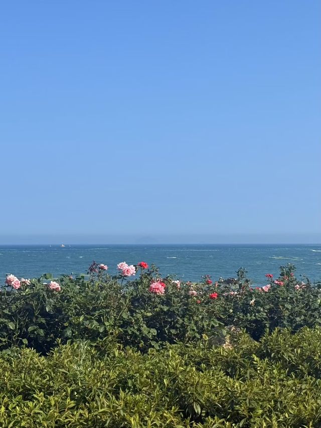 青島嘅夏天