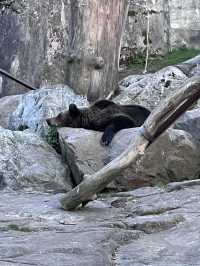 Skansen Visitor Guide – Stockholm, Sweden