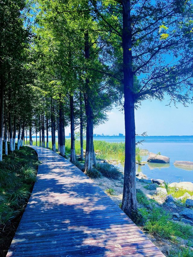 蘇州崑山巴城生志濕地公園:周邊遊