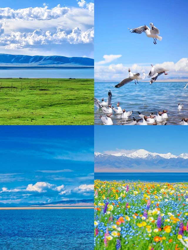 【青海湖畔，邂逅天空之鏡嘅浪漫之旅】