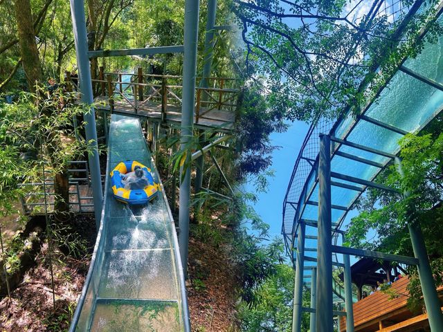 桐廬OMG心跳樂園