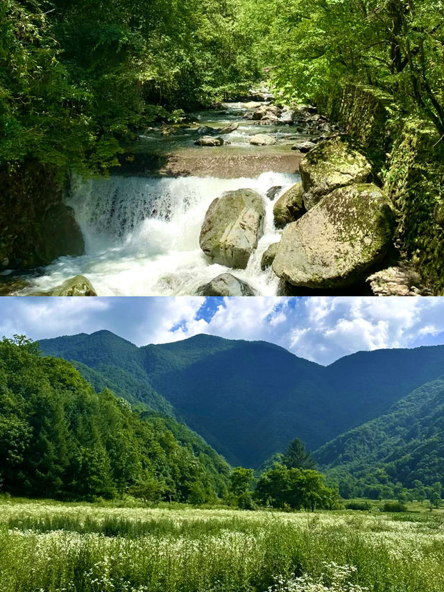 湖北被嚴重低估嘅避暑勝地！均溫20°C爽過開冷氣🫧